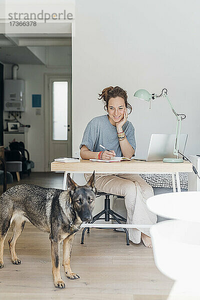 Lächelnde Freiberuflerin  die mit der Hand am Kinn sitzt und den Hund in der Wohnung betrachtet