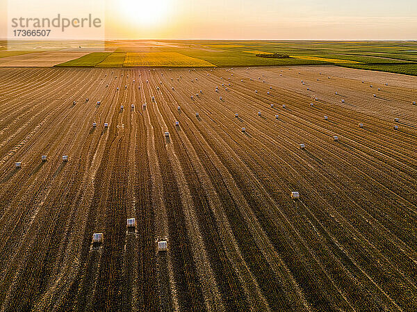 Luftaufnahme von Heuballen auf einem gepflügten Feld bei Sonnenuntergang