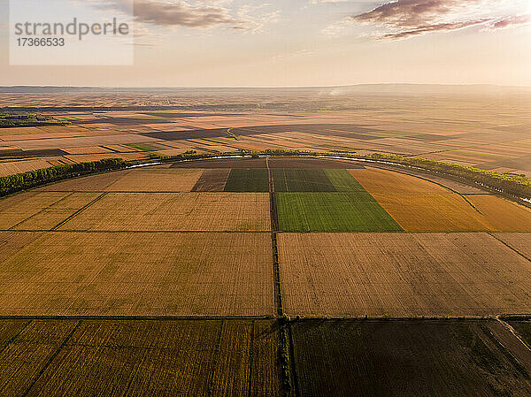 Landwirtschaftliche Landschaft bei Sonnenuntergang  Vojvodina  Serbien