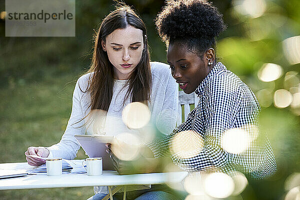 Junge Freundinnen benutzen ein digitales Tablet beim Lernen im Park