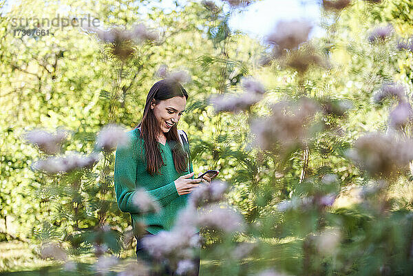 Lächelnde junge Frau  die eine Textnachricht auf ihrem Smartphone schreibt