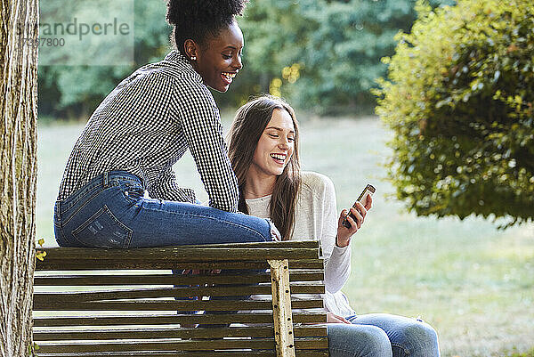 Lächelnde junge Freunde mit Smartphone