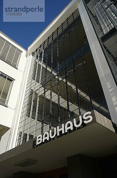 Glasfassade  Bauhaus Dessau  Bauhausgebäude  Dessau  Sachsen-Anhalt  Deutschland  Europa