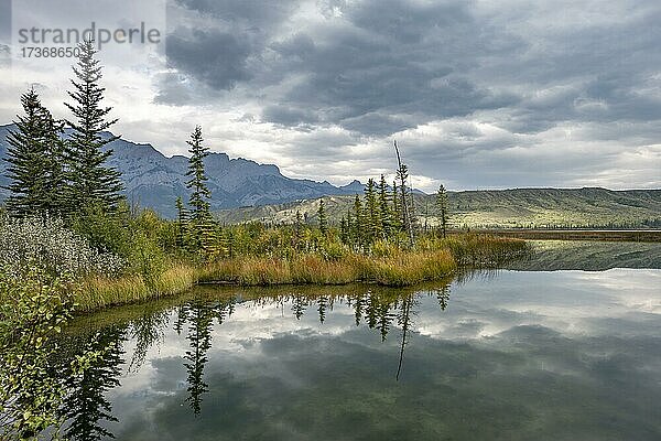 Hügelige Landschaft  Bäume spiegelt sich in einem See  im Herbst  Talbot Lake  Jasper National Park  British Columbia  Kanada  Nordamerika