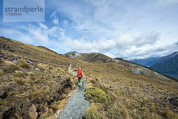Wanderweg  Kepler Track  Great Walk  Berglandschaft mit Gras  Kepler Mountains  Fiordland National Park  Southland  Neuseeland  Ozeanien