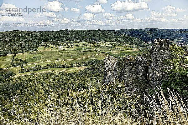 Blickvon der Nordkuppe Walberla 513  9m  ins Ehrenbachtal  Berg Ehrenbürg  Frankenjura  Fränkische Alp  Naturpark Fränkische Schweiz-Veldensteiner Forst  Oberfranken  Franken  Bayern  Deutschland  Europa