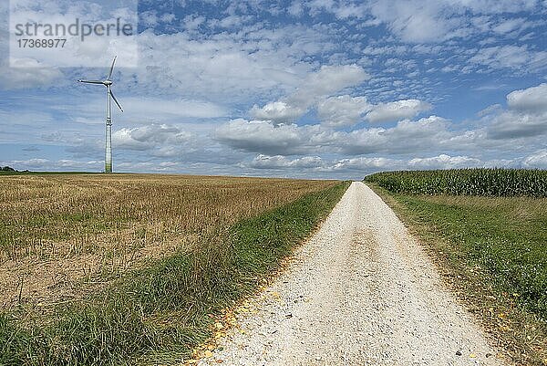 Agrarlandschaft mit Windrad und Feldweg  Wolkenhimmel  Bayern  Deutschland  Europa