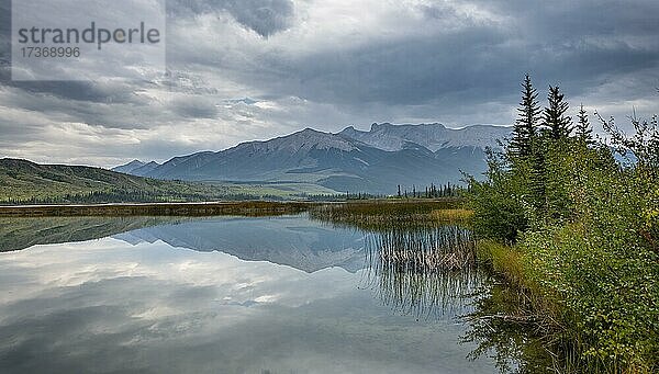 Hügelige  bergige Landschaft  Bäume spiegelt sich in einem See  im Herbst  Talbot Lake  Jasper National Park  British Columbia  Kanada  Nordamerika