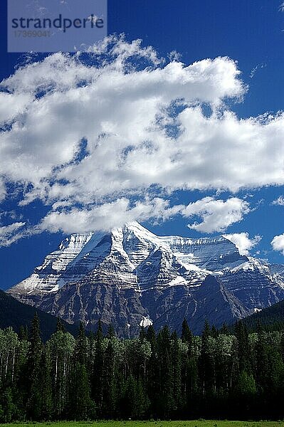 Aussicht auf schneebedeckten Berg  Mount robson  provincial park  British Columbia  Kanada  Nordamerika