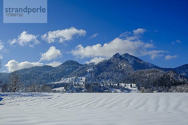 Winter in Wegscheid bei Lenggries  Isartal  Oberbayern Bayern  Deutschland  Europa
