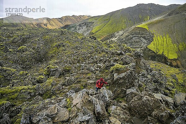 Weg schlängelt sich durch das Lavafeld Laugahraun am Fuße des Brennisteinsalda  Landmannalaugar  Suðurland  Island  Europa