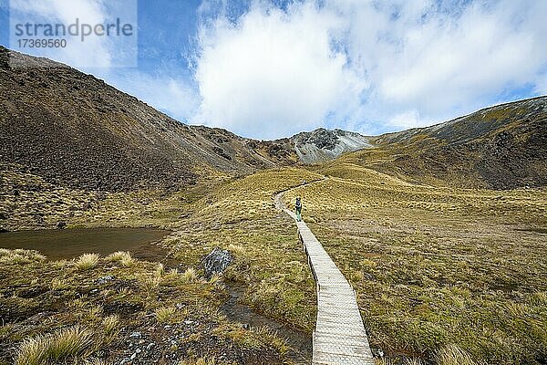 Wanderer auf Wanderweg  Kepler Track  Great Walk  hinten Mount Luxmore  Berglandschaft mit Gras  Kepler Mountains  Fiordland National Park  Southland  Neuseeland  Ozeanien