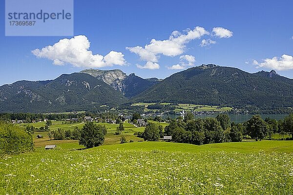 Drohnenaufnahme  Blick von Abersee nach Sankt Wolfgang mit Schafberg  Wolfgangsee  Salzkammergut  Land Salzburg  Österreich  Europa