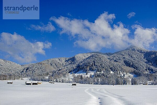 Winter  Geierstein  Lenggries  Isartal  Oberbayern Bayern  Deutschland  Europa