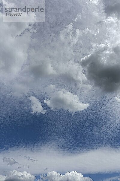 Haufenwolken (Cumulus) und Schäfchenwolken (Cirrocumulus)  Bayern  Deutschland  Europa