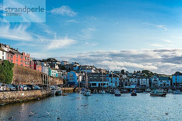 Brixham Marina and Harbour  Torbay  Devon  England  Großbritannien  Europa