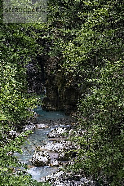 Tscheppaschlucht  Loibltal  Karawanken  Kärnten  Österreich  Europa