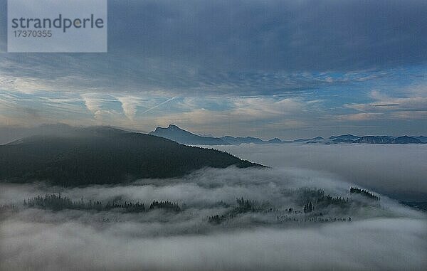 Drohnenaufnahme  Morgennebel am Mondseeberg mit Schafberg  Mondsee  Mondseeland  Salzkammergut  Oberösterreich  Österreich  Europa