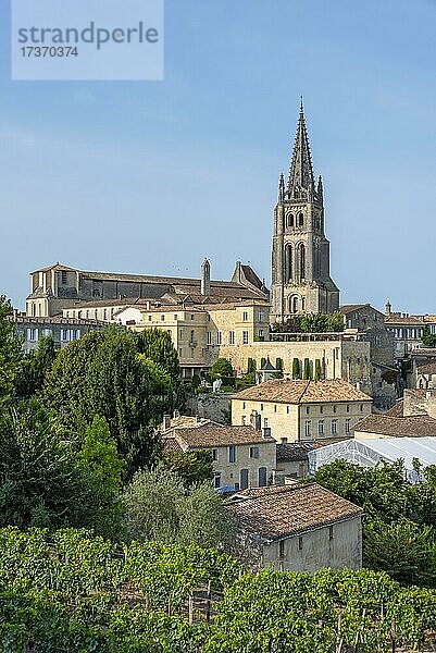 Altstadt und Felsenkirche  Saint Emilion  Département Gironde  Nouvelle-Aquitaine  Frankreich  Europa