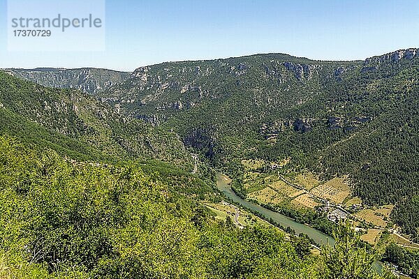 Blick auf die Gorges du tarn UNESCO-Weltkulturerbe  Regionaler Naturpark Grands Causses  Departement Lozere  Occitanie  Frankreich  Europa