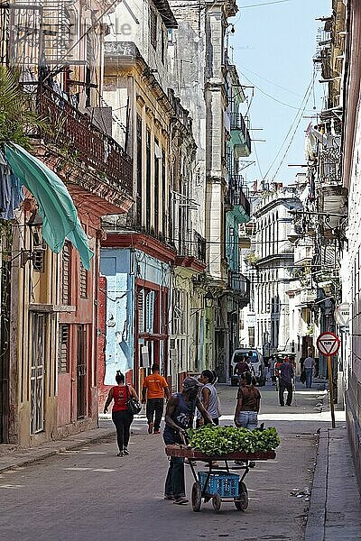 Straßenszene mit Passanten  Kubanern  Altstadt  Hauptstadt Havanna  Provinz Havanna  Große Antillen  Karibik  Kuba  Mittelamerika