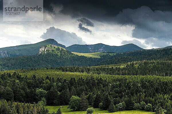 Blick auf die Monts Dore im Naturpark der Vulkane der Auvergne  Departement Puy de Dome  Auvergne Rhone Alpes  Frankreich  Europa