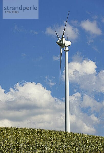 Windenergie  Windkraftanlage  Agrarlandschaft mit Windrad bei Pramet im Innviertel  Wolkenhimmel  Oberösterreich  Österreich  Europa