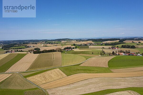 Drohnenaufnahme  Agrarlandschaft  Landwirtschaftliche Felder mit Bauernhöfe bei Waldzell im Innviertel  Oberösterreich  Österreich  Europa