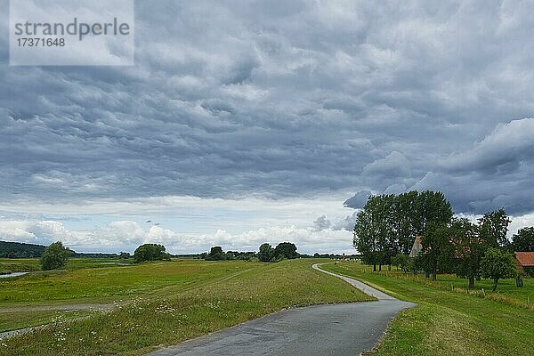 Elbdeich bei Kolepant  Vockfey  Niedersachsen  Deutschland  Europa