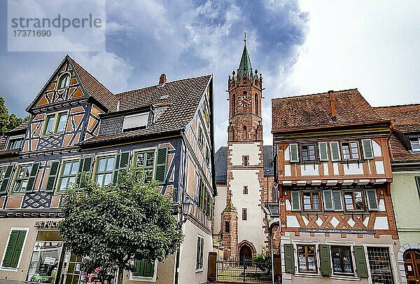 Marktplatz mit Fachwerkhäusern  Turm der katholischen Kirche St. (Gallus)  Baden-Württemberg  Deutschland  Europa