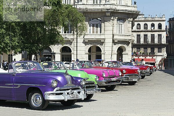 Oldtimer  Taxis von vorne in einer Reihe  Altstadt  Hauptstadt Havanna  Provinz Havanna  Große Antillen  Karibik  Kuba  Mittelamerika