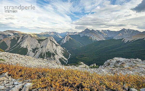 Herbstlich gelb verfärbter Busch  Berglandschaft mit Flusstal und Gipfeln  Gipfel mit orangene Sulphurablagerungen  Panoramablick  Nikassin Range  bei Miette Hotsprings  Sulphur Skyline  Jasper Nationalpark  Alberta  Kanada  Nordamerika