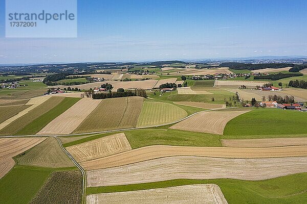 Drohnenaufnahme  Agrarlandschaft  Landwirtschaftliche Felder mit Bauernhöfe bei Waldzell im Innviertel  Oberösterreich  Österreich  Europa