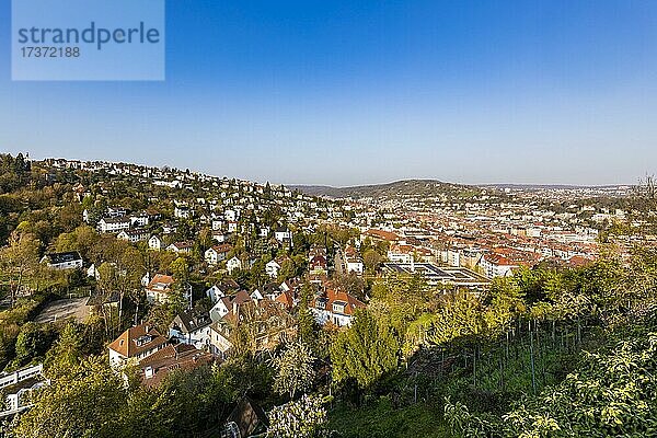 Blick von Neuer Weinsteige über Stuttgart  Stadtansicht  Wohnhäuser  Halbhöhenlage  Stuttgart  Baden-Württemberg  Deutschland  Europa