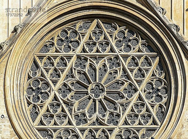 Nahaufnahme des gotischen Rosenfensters  Kathedrale von Valencia  Spanien  Europa