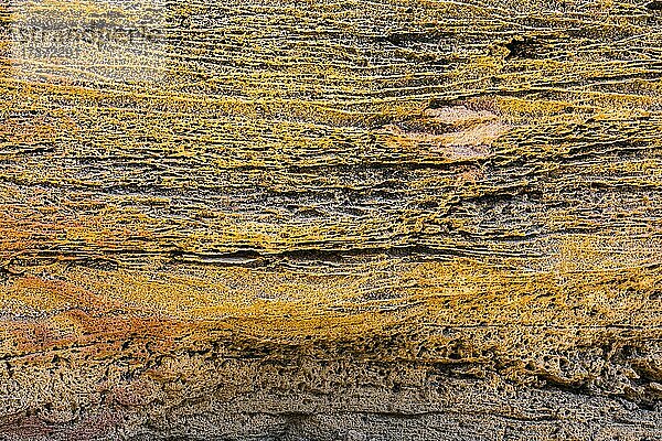 Poröser Sandstein im Valle della Luna am Capo Testa bei Santa Teresa di Gallura  Sardinien  Italien  Europa