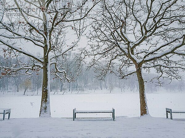 Verschneiter Wintermorgen im Stadtpark mit einer Bank im Schnee zwischen zwei kahlen Bäumen. Ruhige saisonale Szene  kalte Luft Atmosphäre und Schneefall auf dem Platz. Stiller und friedlicher Blick auf das Rosental  Chisinau  Moldawien  Europa