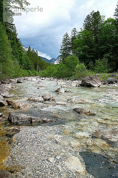 Pöllat  im Vordergrund der Fluss mit klarem Wasser umgeben von Wald  im Hintergrund die Berge  Ammergauer Alpen  Ostallgäu  Schwangau  Bayern  Deutschland  Europa