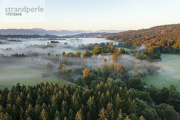 Nebelschwaden über Loisachtal bei Eurasburg  Tölzer Land  Morgenlicht  Drohnenaufnahme  Alpenvorland  Oberbayern  Bayern  Deutschland  Europa