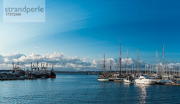 Brixham Marina and Harbour  Torbay  Devon  England  Großbritannien  Europa