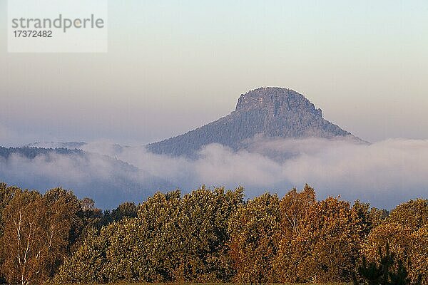 Lilienstein im Morgenenbel  Nationalpark Sächsische Schweiz  Deutschland  Europa