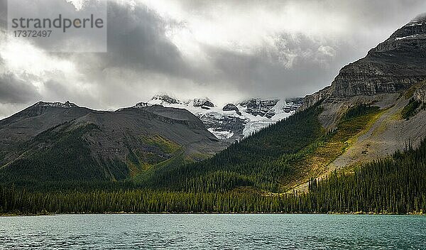 Wolkenverhangene schneebedeckte Gipfel  Mount Charlton und Mount Unwin  herbstlicher Wald  Maligne Lake  Alberta  Kanada  Nordamerika