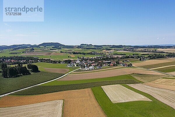 Drohnenaufnahme  Agrarlandschaft  Landwirtschaftliche Felder mit Bauernhöfe bei Waldzell im Innviertel  Oberösterreich  Österreich  Europa