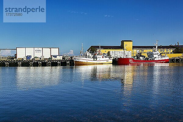 Motorschiff zur Walbeobachtung  MS Reine im Hafen von Andenes  Insel Andoya  Vesteralen  Europäisches Nordmeer  Norwegen  Europa