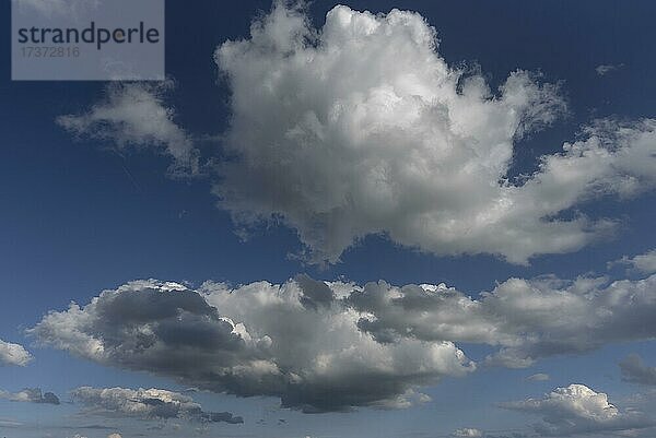 Haufenwolken (Cumulus)  Bayern  Deutschland  Europa