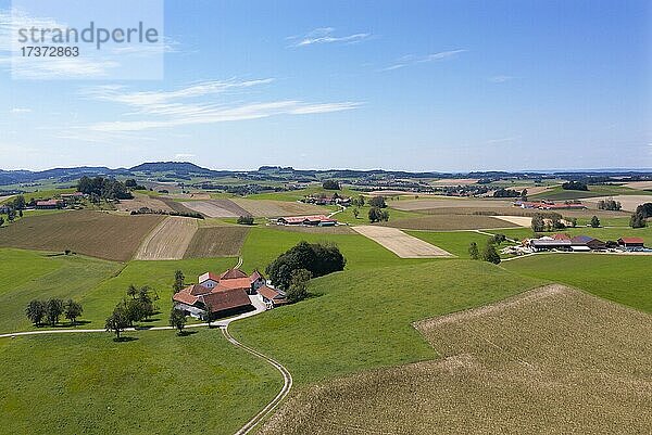 Drohnenaufnahme  Agrarlandschaft  Landwirtschaftliche Felder mit Bauernhöfe bei Waldzell im Innviertel  Oberösterreich  Österreich  Europa