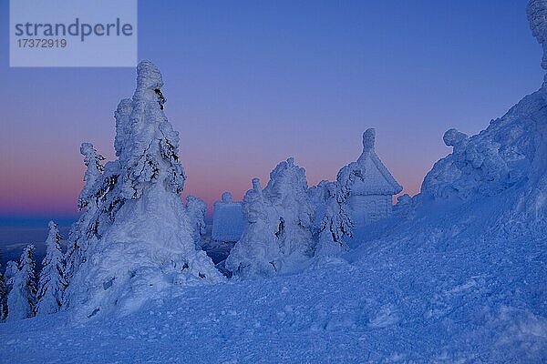 Verschneite und vereiste Arberkapelle  im Winter  Großer Arber  Naturpark Bayerischer Wald  Niederbayern  Bayern  Deutschland  Europa