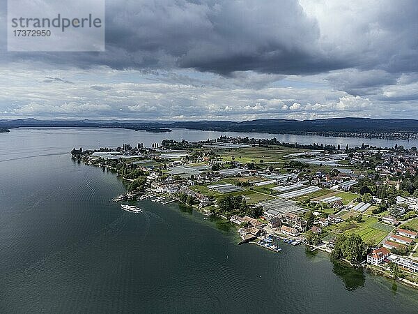 Blick auf den westlichen Teil der Insel Reichenau im Bodensee  Landkreis Konstanz  Baden-Württemberg  Deutschland  Europa