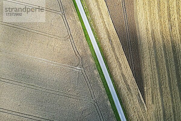 Drohnenaufnahme  Straße durch abgeerntete Felder mit abstrakten Mustern  Agrarlandschaft bei Pramet im Innviertel  Oberösterreich  Österreich  Europa