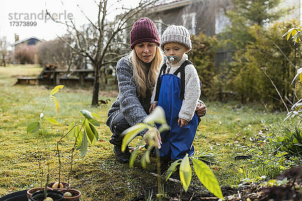 Mittlere erwachsene Frau mit Sohn  der eine Strickmütze trägt  betrachtet Pflanzen im Garten